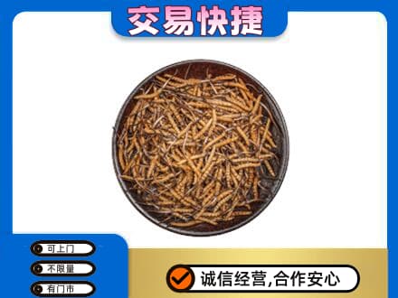 台中市高价回收散虫草